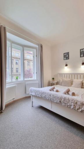 Finnem Rentals Zíkova Prague